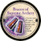 Bracers of Supreme Archery