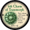 6th Charm of Transmorph