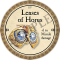 Lenses of Horus