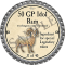 2024-plat-50-gp-idol-ram