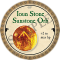 Ioun Stone Sunstone Orb