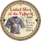 Linked Shirt of the Valkyrie